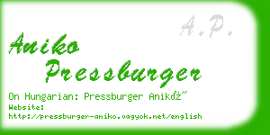 aniko pressburger business card